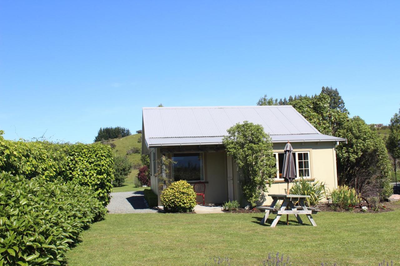 Blue Thistle Cottages Te Anau Εξωτερικό φωτογραφία