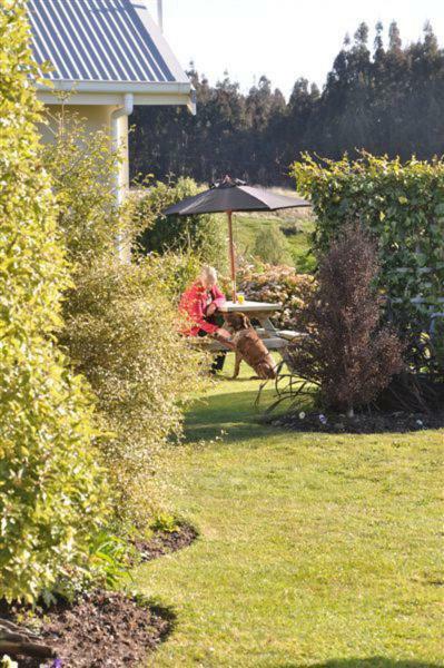 Blue Thistle Cottages Te Anau Εξωτερικό φωτογραφία
